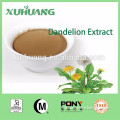 Manufacturer Supply Natural Dandelion Root Extract